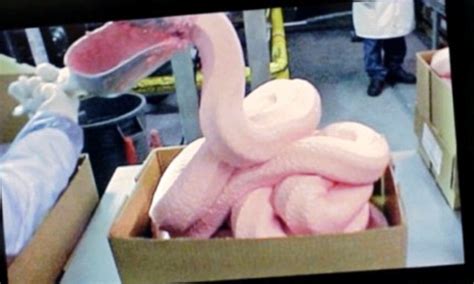 McDonald's reveal EXACTLY what is in their chicken nuggets (note: it's not pink goop) | Daily ...