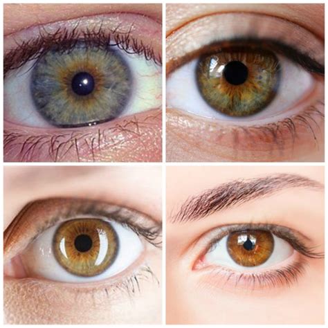 The Best Eye Makeup For Hazel Eyes | Makeup for hazel eyes, Hazel eye ...