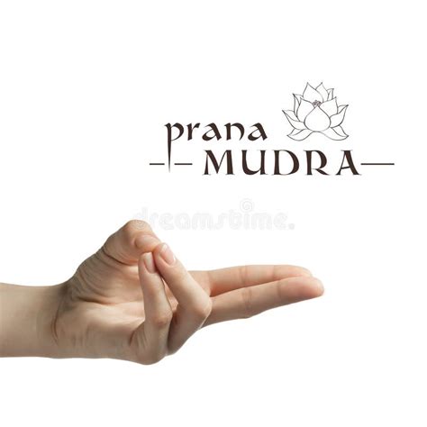 Prana mudra on white stock image. Image of female, peace - 162424109