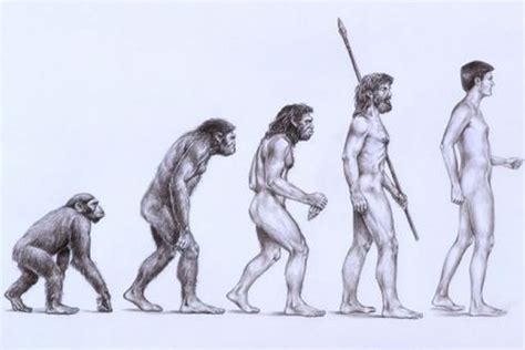 Charles Darwin Theory Evolution – Everything Related to Knowledge