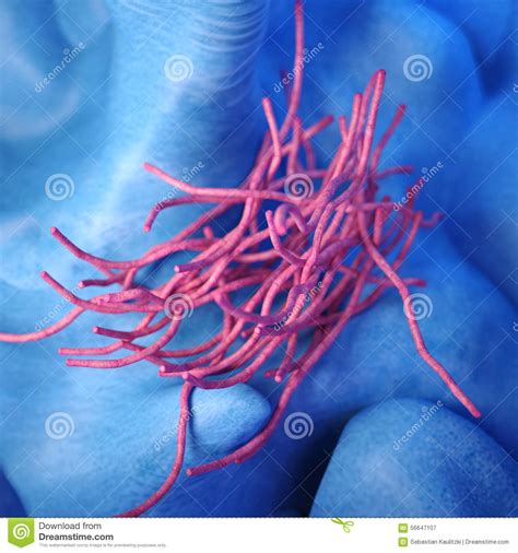 The Bacillus Anthracis - Close Up Stock Illustration - Illustration of artwork, abstract: 56647107