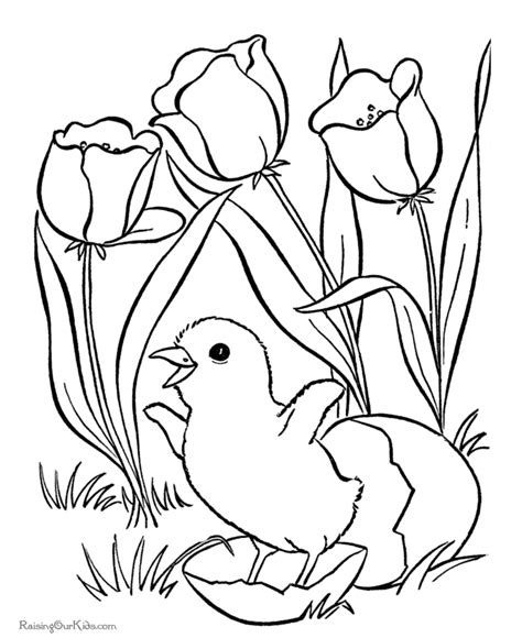 Easter Flower Coloring Pages - Flower Coloring Page
