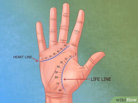 How to Calculate the Age of a Person Using Palmistry: 6 Steps