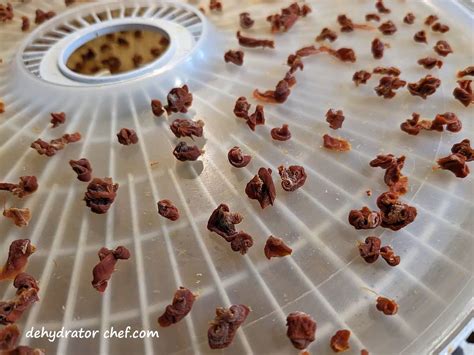 How to Dehydrate Carrots – Dehydrating Carrots, A Step-by-Step Guide ...