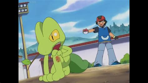 Treecko screenshot | Anime screenshots, Pokemon, Anime