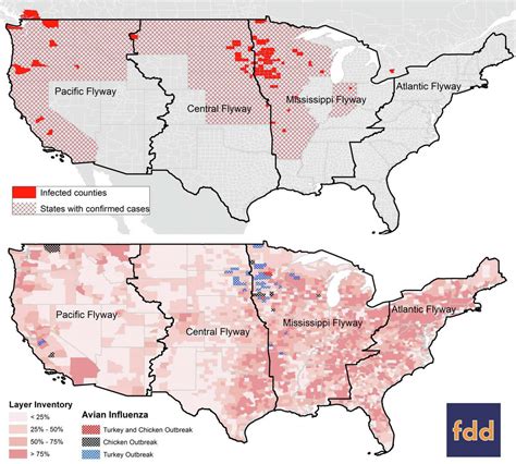 Avian flu threatens chickens, eggs