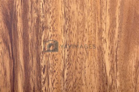 Acacia wood texture by vinodpillai Vectors & Illustrations Free ...