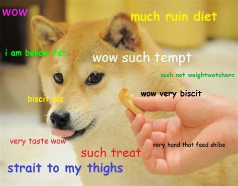 Doge Meme - Much Wow Dog - Funny Shiba Inu Meme