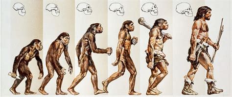 Theory of errorlution: Famous diagram showing ascent of man idea is 'so ...