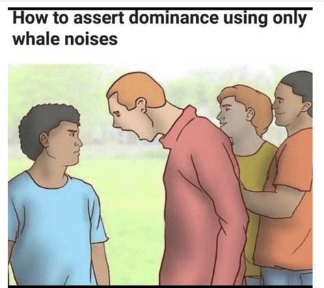 15 Funny and Weird Memes Made From wikiHow Illustrations