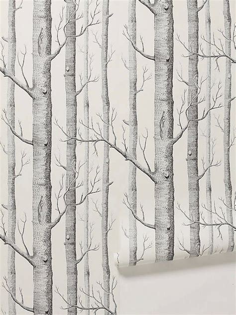 10 Excellent Sources for Buying Birch Tree Wallpaper | Birches ...