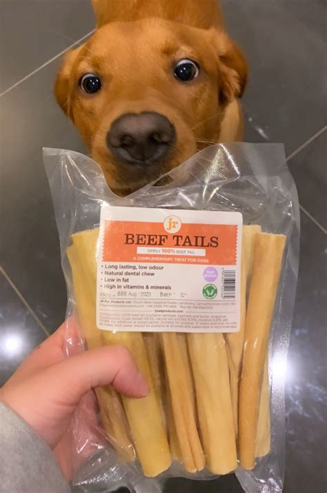 Beef Treats & Chews — JR Pet Products