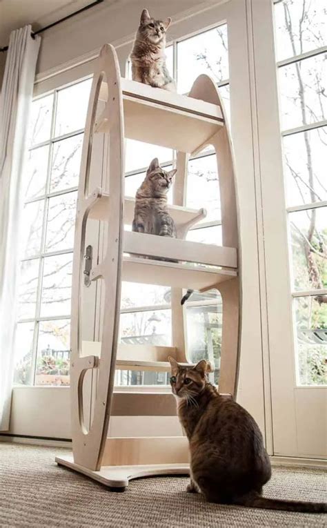 Pets | Modern cat tree, Modern cat, Modern cat tower