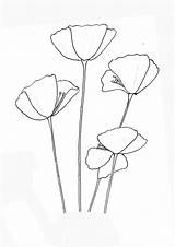 Red Poppy Coloring Page Pages sketch template