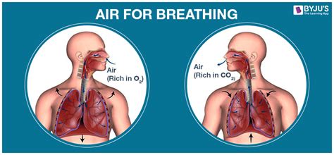 Air For Breathing, Combustion and Regulating Temperatures