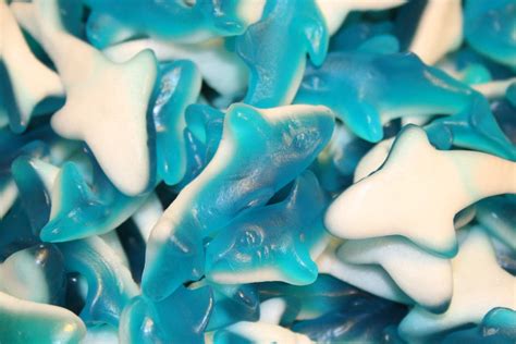 BAYSIDE CANDY GUMMY BLUE SHARKS, 1LB - Walmart.com - Walmart.com