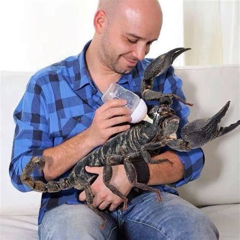 Man feeding giant scorpion milk with baby bottle : r/wtfstockphotos