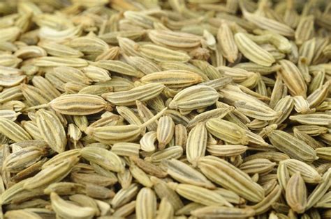 Fennel Seeds Side Effects | Livestrong.com