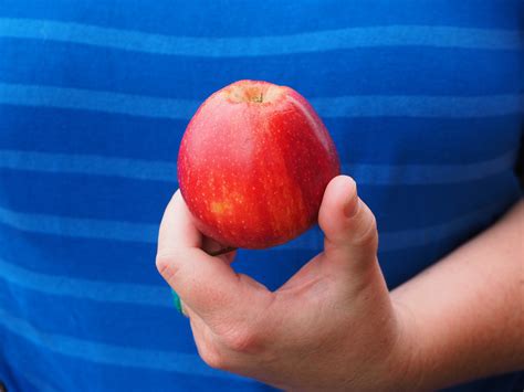 Free Images : hand, apple, fruit, flower, food, red, produce, blue, delicious, present, keep ...
