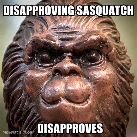 Sasquatch Yoga’s Instagram photo: “You haven’t been Squatchin’ in how ...