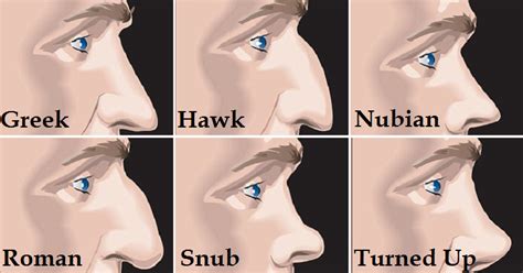 All different nose shapes - stormfight