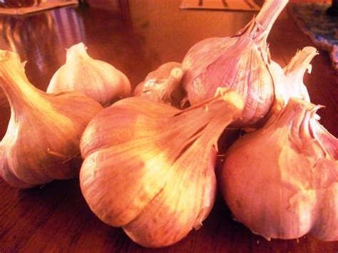 Eating Garlic Raw is the Healthiest Way - FoodNerdy Recipes Management System