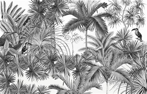 Papier peint panoramique Ananbô Jarawa Noir & Blanc Tropical Wallpaper, Bird Wallpaper, Colorful ...