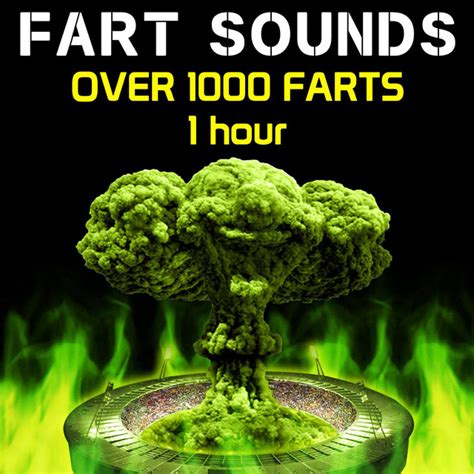 Fart Sounds - Over 1000 Farts (1 Hour) - song by Fart Fest | Spotify