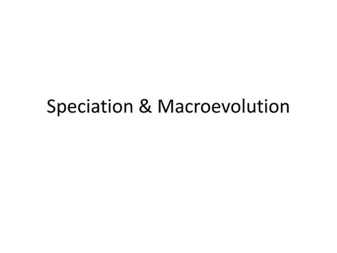 PPT - Speciation & Macroevolution PowerPoint Presentation, free download - ID:6893925