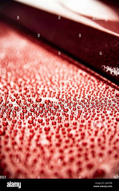 Water drops on red car body. Hydrophobic Stock Photo - Alamy