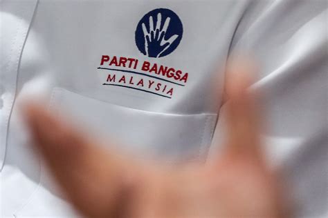 Parti Bangsa Malaysia’s electoral debut in Johor polls truly eye ...