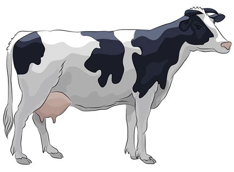 Cow Animal Clip Art Png Cows Png Images Free Download Free Images