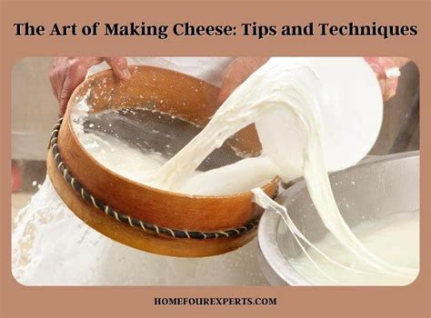 The Art of Making Cheese: Tips and Techniques