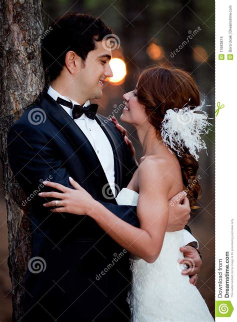 Wedding couple stock photo. Image of smile, wedding, happy - 17663874