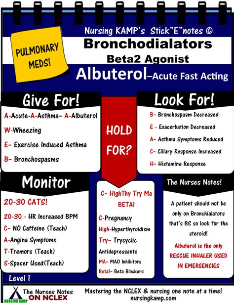 Nursing KAMP - The Nurses Notes on Nursing » Albuterol The only Rescue ...