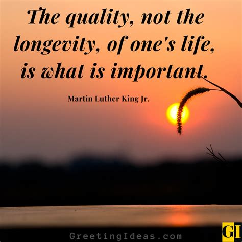 60 Inspiring Longevity Quotes To Live A Deeper Life