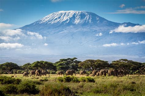 Mount Kilimanjaro, The Very Exotic Mountain and Safe Guide To Climb It - Traveldigg.com