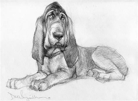 Hound Dog Sketch at PaintingValley.com | Explore collection of Hound Dog Sketch