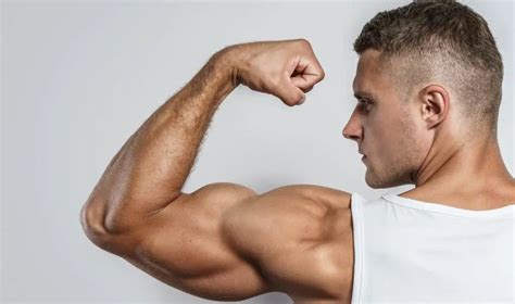 Arm Gains Ahead: Get Our Big Arms Workout Plan + PDF! - This Is Why I'm Fit