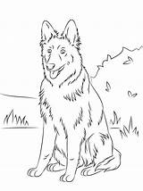 22  German Shepherd Coloring Pages Her Hos Undergrunnen sketch template