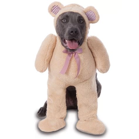 20 Cute Halloween Costumes for Extra Large Dogs (up to 3XL!) - Hey, Djangles.