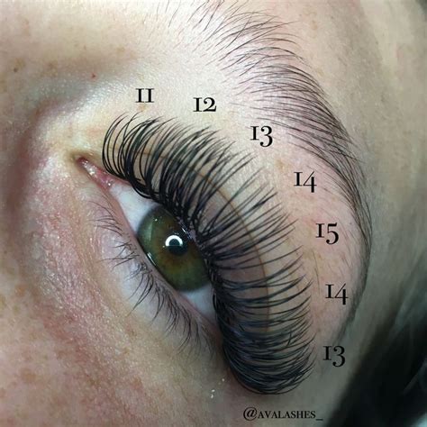 Ava Lashes Eyelash Extensions Classic Mink DD curl Lash Mapping Semi Permanent Eyelash ...