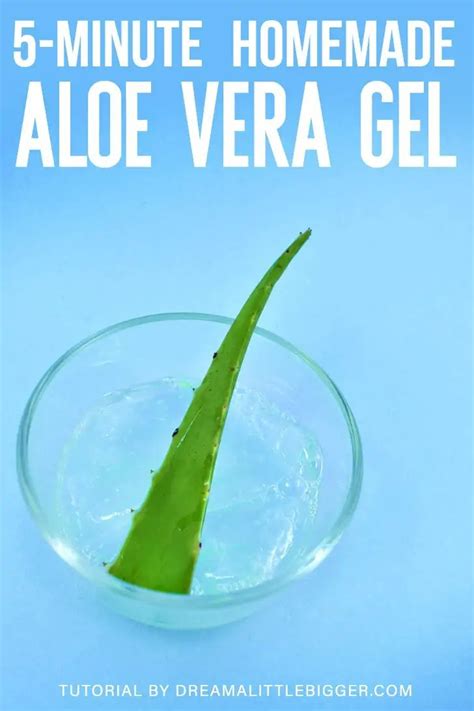 5-Minute Homemade Aloe Vera Gel | Aloe vera gel, Aloe vera, Aloe