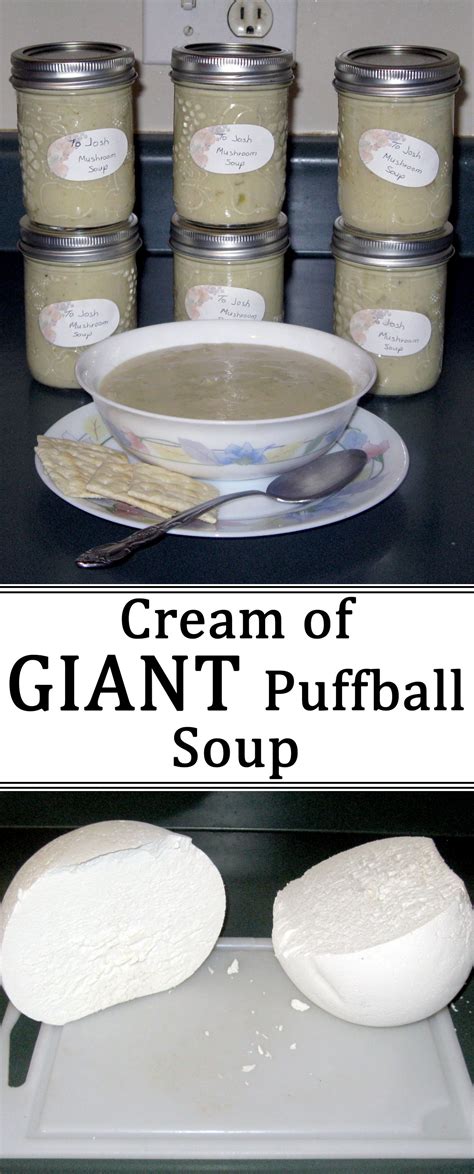 Tasty soup made from Calvatia Gigantea. | Butter beans recipe, Puffball mushroom, Slow cooker ...