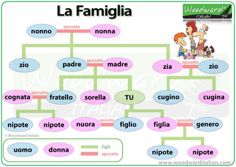 a family tree with words in spanish and english