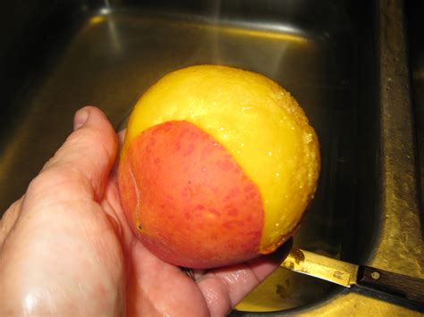 Simply Homemaking: Canning clingstone peaches without sugar... Whew!