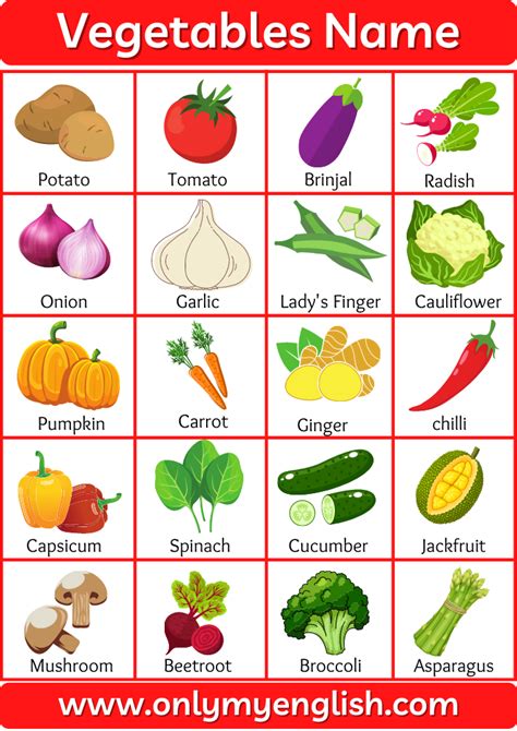 Vegetable name in English with pictures | Name of vegetables, Fruits name in english, Vegetable ...