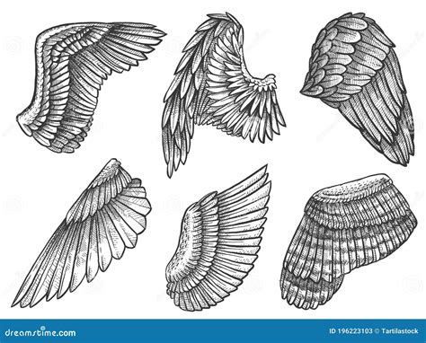 Sketch Wings. Hand Drawn Eagle, Angel Detailed Wing with Feathers ...