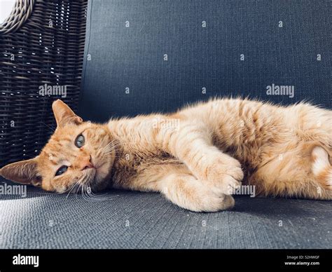 Lying to side hi-res stock photography and images - Alamy