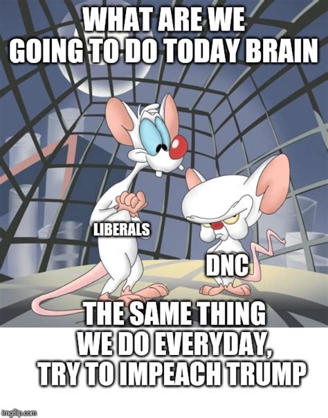 Pinky And The Brain Meme Gif